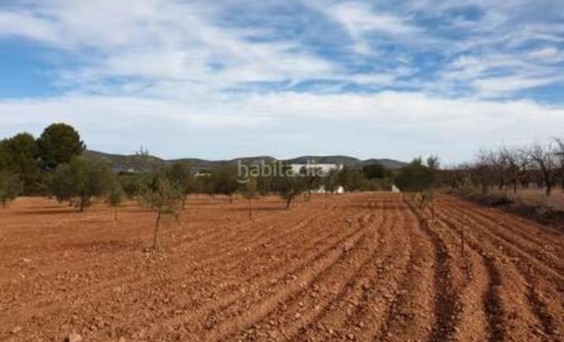 Finca rústica a Biar. Joan