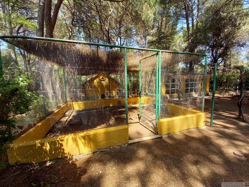 Foto 382ff58e-7acc-4818-96d1-b1ce58fc1532. Chalet albacetechalet en Motilleja