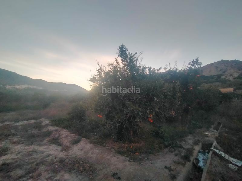 Foto 6ff274ff-535e-4dfc-8793-ee6da7b5816a. Terreno residencial terreno plano con agua en Instinción