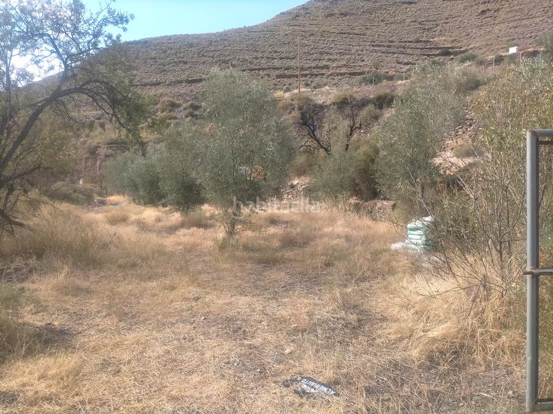 Foto 407fa260-c99b-47fe-ad1c-34b060a5e655. Terreny residencial a Gérgal