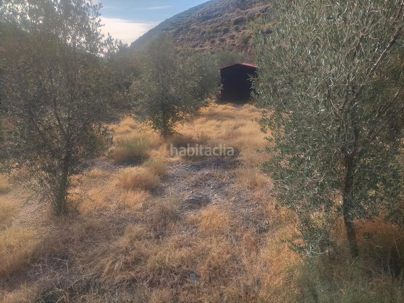 Foto a9d8ee44-21c0-4b9c-9a6d-c3535030d250. Terreny residencial a Gérgal
