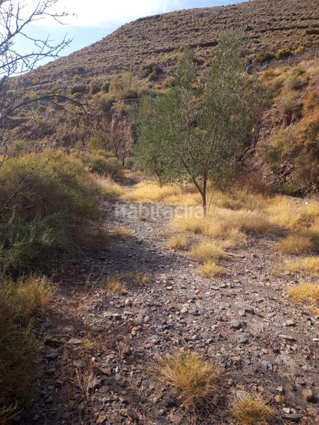 Foto af73a0ea-b74e-451f-be48-c77770023dea. Terreny residencial a Gérgal