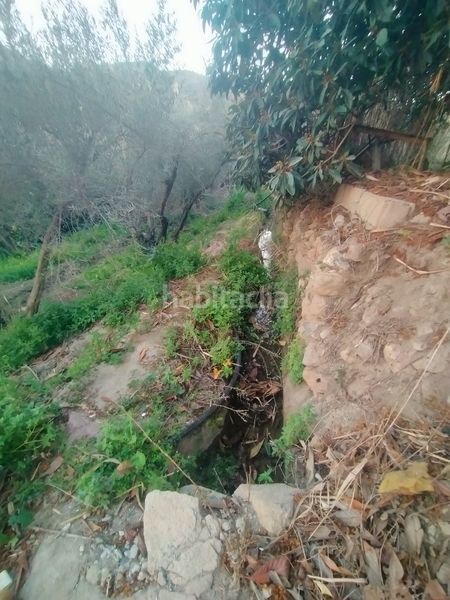 Foto 03052d34-1668-494c-86a6-94a0774e8fb8. Finca rústica a Instinción