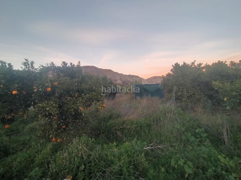 Foto 34abe6d8-f279-481e-8d6f-20a49e1f7635. Finca rústica a Instinción