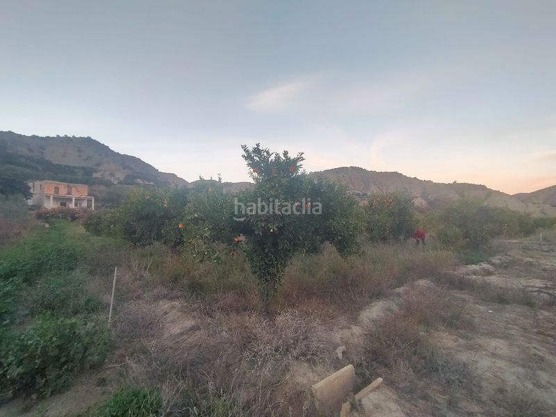 Foto 6480a390-72e8-4105-adb0-47ab1e8b1be0. Finca rústica a Instinción