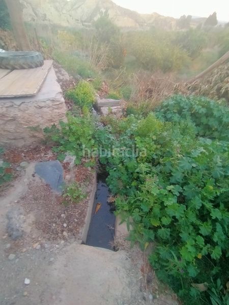 Foto 89b5ba83-76e9-484d-98a7-f8a1b9c8d0bc. Finca rústica a Instinción