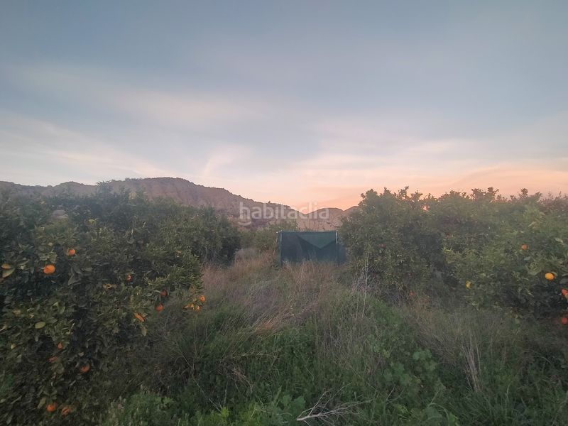 Foto 8ee1072c-7d25-40dd-b0d5-c706f5e905b0. Finca rústica a Instinción