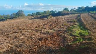 Landgut in Sauzal (El). Se vende terreno vallado con agua y posibilidad de instalación e