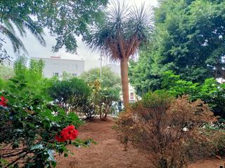 Pis a Villa Ascensión - El Perú - Cruz del Señor