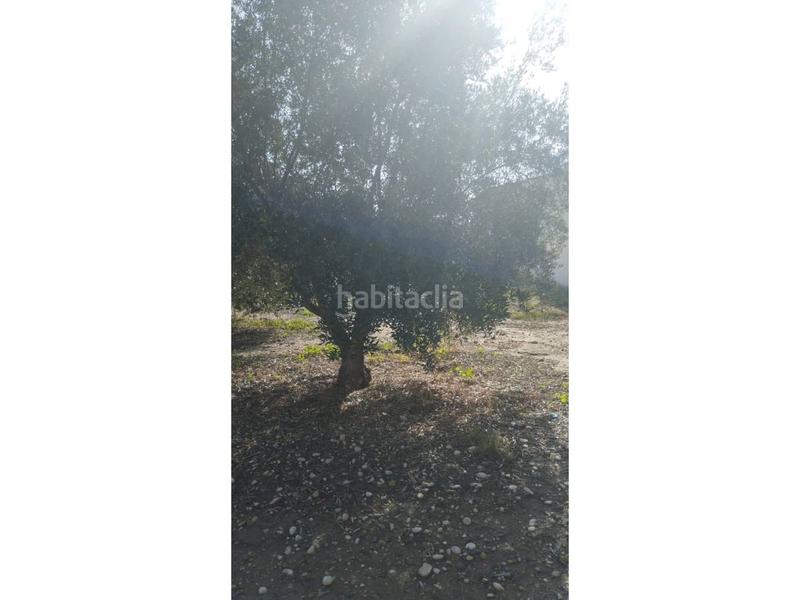 Foto 1b5bab2f-a97d-4361-ae97-ca55e3b49179. Casa  de pueblo en Alguazas