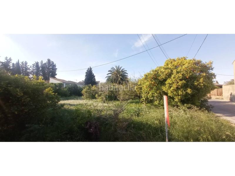 Foto 1fa1f15d-2598-4519-ab7c-e99ce4d4a6b5. Terreno residencial terreno en venta en avenida de la ñora la albatalía en Murcia