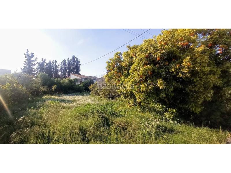 Foto 64d6ff2b-b80c-4eff-86d3-c56169140ccf. Terreno residencial terreno en venta en avenida de la ñora la albatalía en Murcia