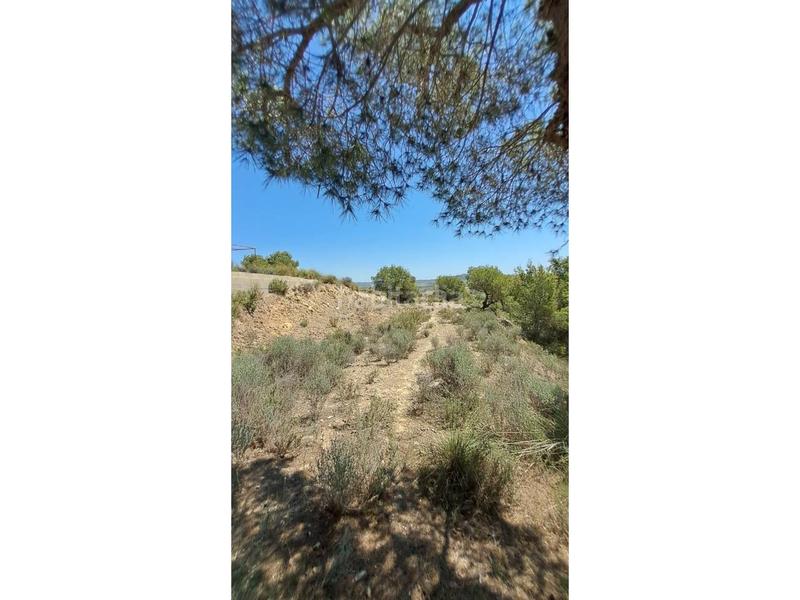 Foto d0dae7b7-7ba2-4c32-8c49-15ae58d9090a. Terrain résidentiel dans Juan Carlos I Murcia