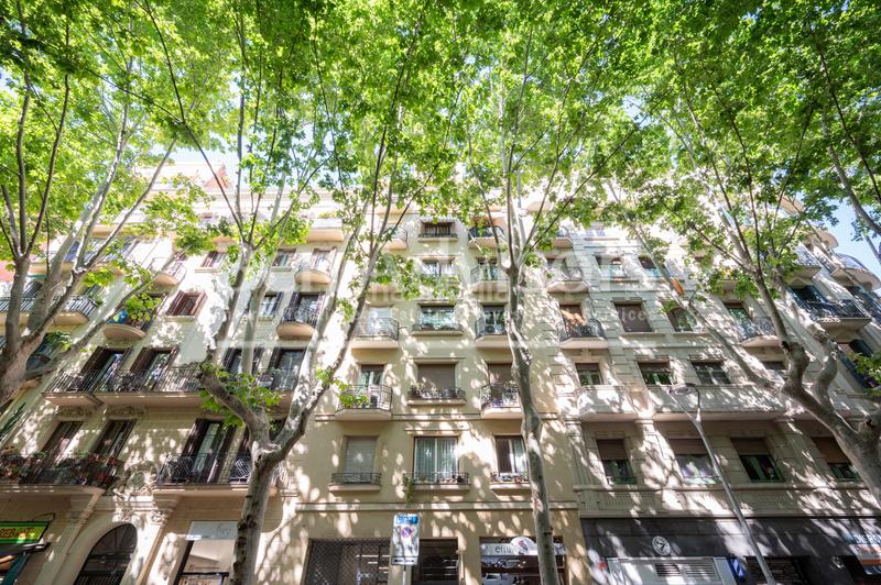 Foto 3c78f07e-2497-48c9-8c57-343684b3b10b. Piso luminoso y tranquilo piso con terraza comunitaria junto al paseo sant joan. en Barcelona