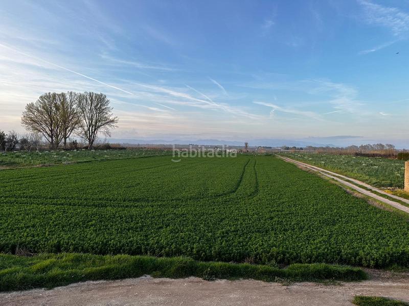 Foto 1750181e-d16a-43cd-ad64-39529c87fb8b. Masia a Bellvís