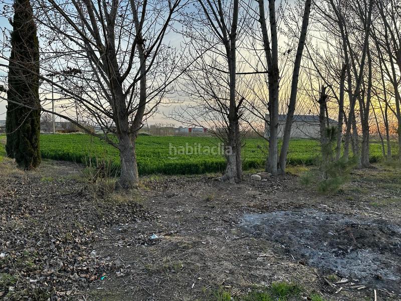 Foto 29d152e7-5a12-4d6c-afac-407cd3299615. Masia a Bellvís