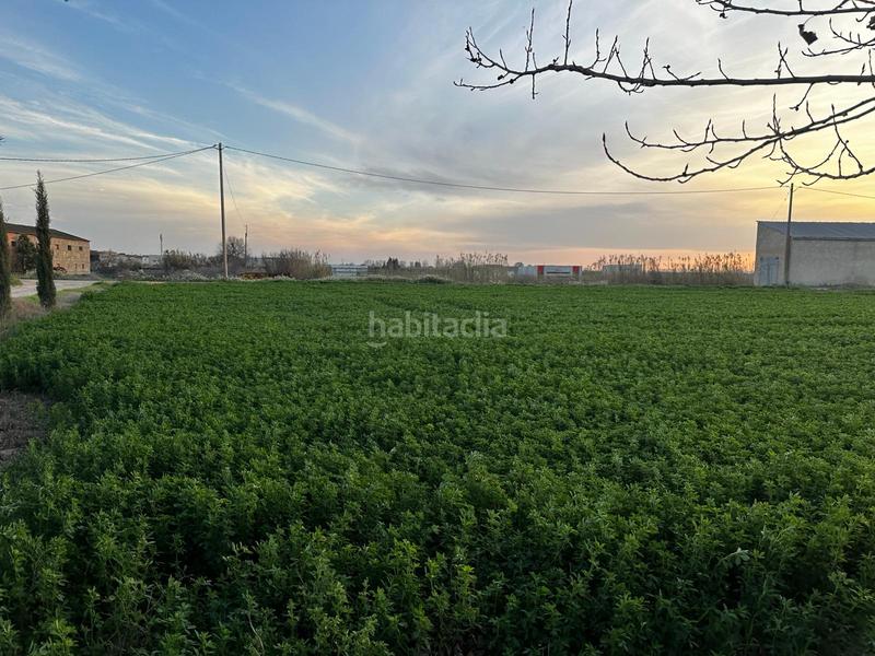 Foto 2de8f704-943a-4611-8bdf-65c495d4aee0. Masia a Bellvís