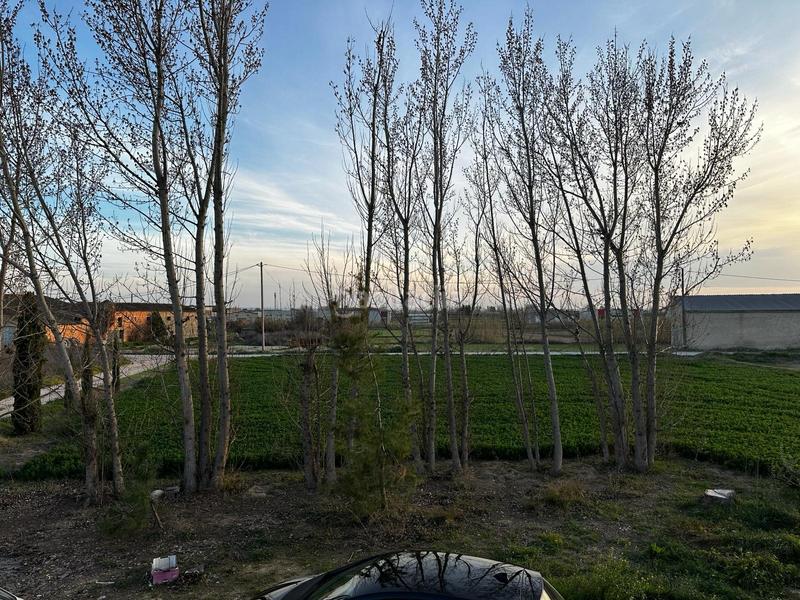 Foto 4755862d-e8ab-4317-bd4f-c90aa2dbc219. Masia a Bellvís