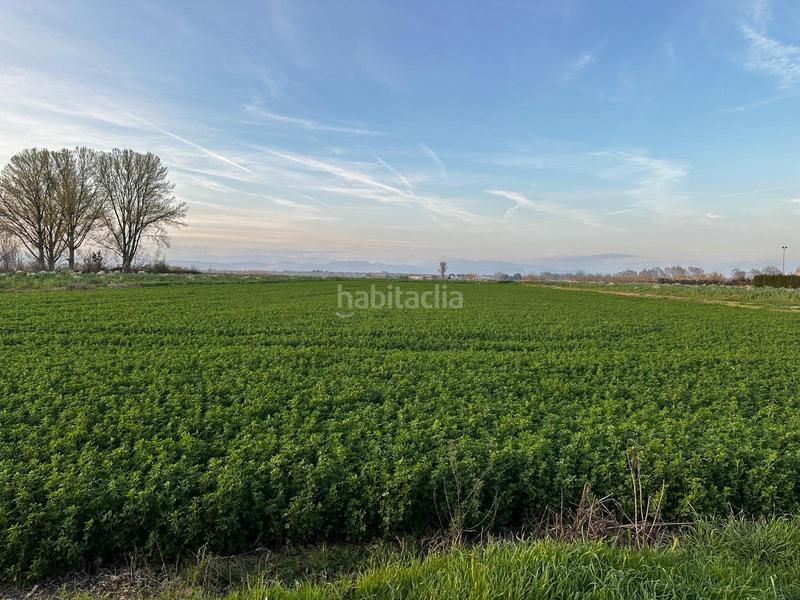 Foto 8da086d4-9b91-46cd-b666-d731f3b2d0c1. Masia a Bellvís