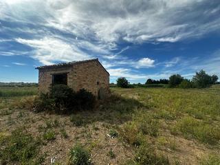 Finca rústica a Alcarràs. Finca rústica en venta en alcarràs