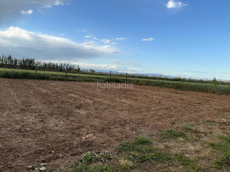 Foto 6464da42-95e5-4cb4-b0bc-b8bf3877c2f4. Masía finca rústica en venta en Alcoletge