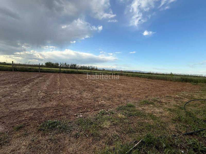Foto bed3a18e-93a9-4cfa-b742-a0781bd86dfe. Masía finca rústica en venta en Alcoletge
