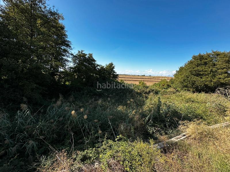 Foto 9039def0-a8fd-40d7-b859-8b914b9ffe3c. Masía torre en venta en Corbins