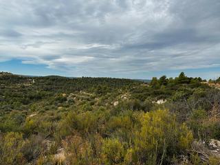 Landgut in N/a. Terreno rústico en venta en cervià de les garrigues