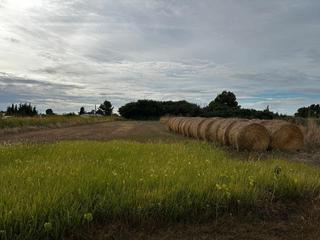 Finca rústica a N/a. Terrreno rústico en venta en albatarrech
