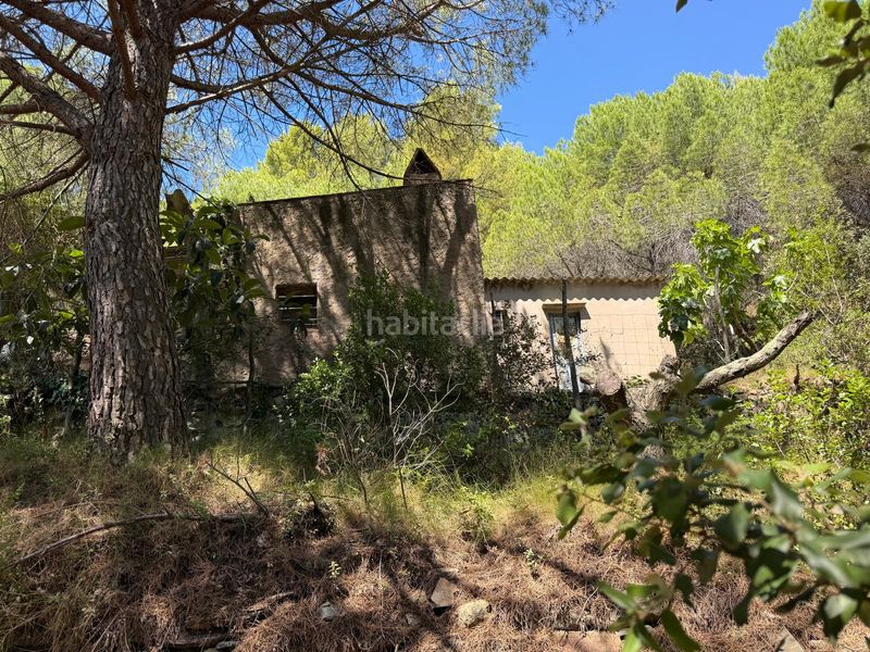 Foto 43b747ab-845c-4724-af9e-edd7128b612c. Casale con piscina in Selva del Camp (La)
