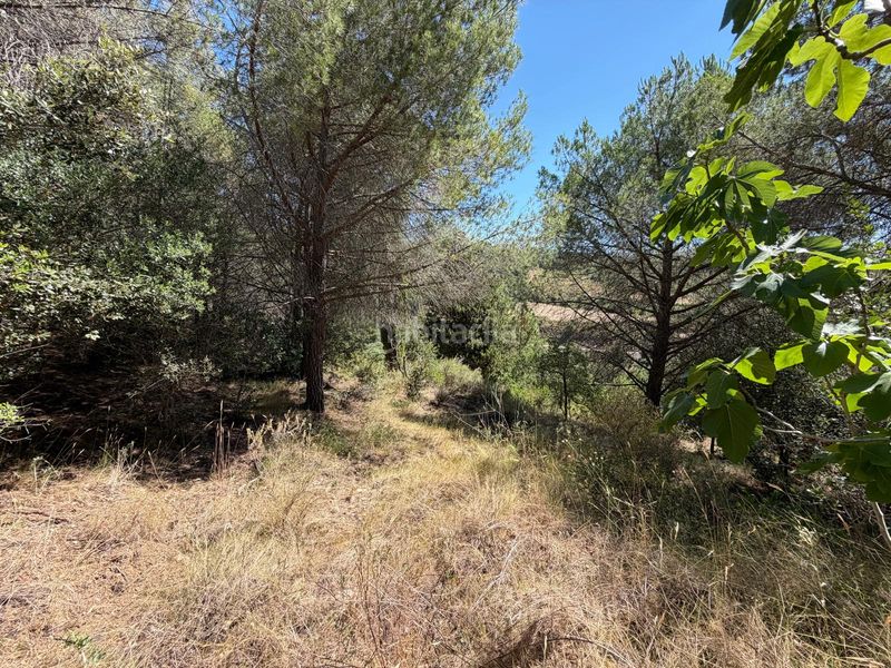 Foto 5381be73-9ef8-4c24-9758-822c957633e2. Casale con piscina in Selva del Camp (La)