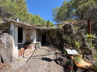 Casale  Cami de la pedrera. Finca en venta en la selva del camp