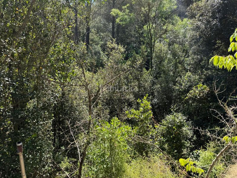 Foto a4d37117-5757-481c-8a64-f58d632f96c8. Casale con piscina in Selva del Camp (La)