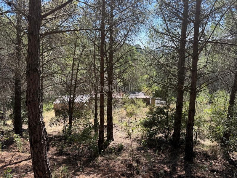 Foto a901f29c-e62f-4a3f-9fe3-a3d19c4e8dce. Casale con piscina in Selva del Camp (La)