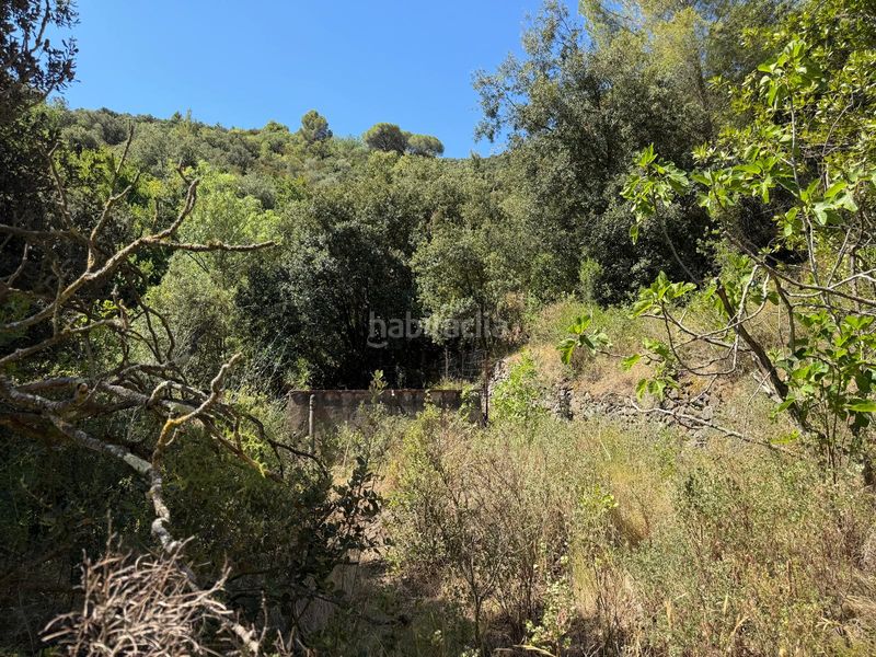 Foto b305b5a1-dd20-4167-ae87-c95473997252. Casale con piscina in Selva del Camp (La)