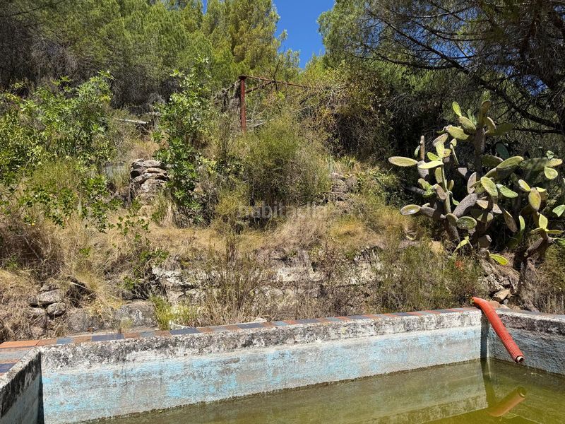 Foto ca7204d1-2880-4789-98b1-16459f563825. Casale con piscina in Selva del Camp (La)