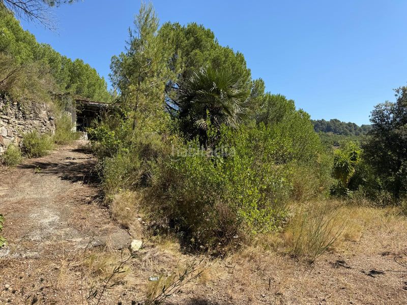 Foto d89a324e-1e40-48c9-b3b5-9d428a023a48. Casale con piscina in Selva del Camp (La)