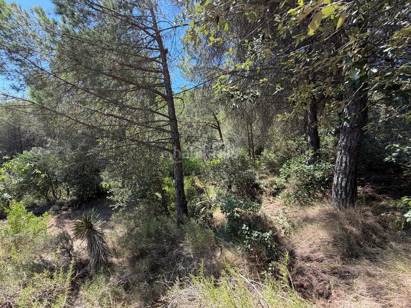 Foto dd21c218-6072-4a36-a952-1514e268a9b1. Casale con piscina in Selva del Camp (La)