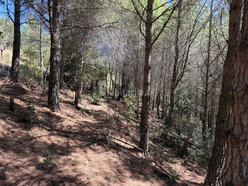 Foto e1d2acaf-6ade-43db-aaed-dd47bd78a999. Casale con piscina in Selva del Camp (La)