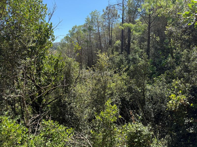 Foto ea6f9f64-3bdc-4f05-a129-84525b0004fb. Casale con piscina in Selva del Camp (La)