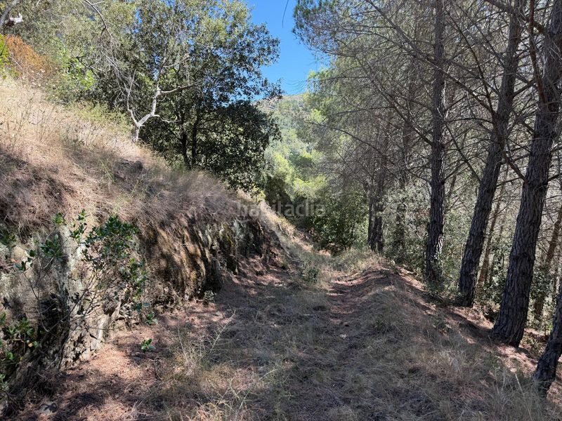 Foto f9c9f8a8-078f-4267-8182-70fbb20663c2. Casale con piscina in Selva del Camp (La)