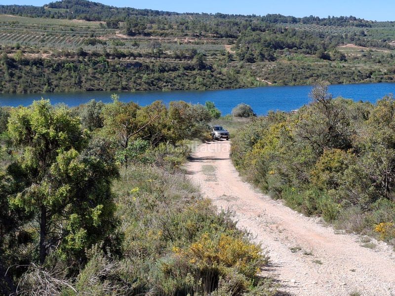 Foto 410ed49f-8f81-412c-b4fe-dec8ea72273a. Finca rústica a Cervià de les Garrigues