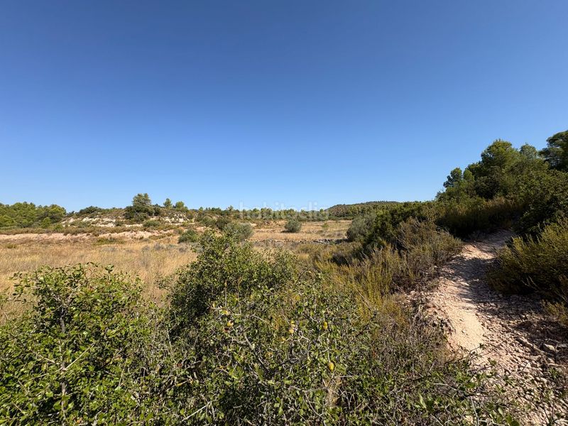 Foto 4358e136-2767-479f-a1b3-2e4458fc857b. Finca rústica a Cervià de les Garrigues