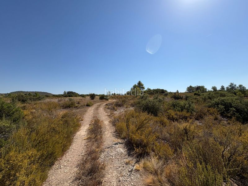 Foto ac0dcedd-8f51-498e-b01b-8fb4632889c0. Finca rústica a Cervià de les Garrigues