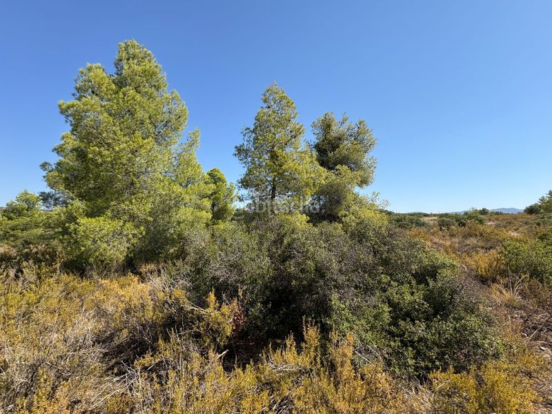Foto b594a4e1-1253-454b-98a0-97ee63e0ab1e. Finca rústica a Cervià de les Garrigues
