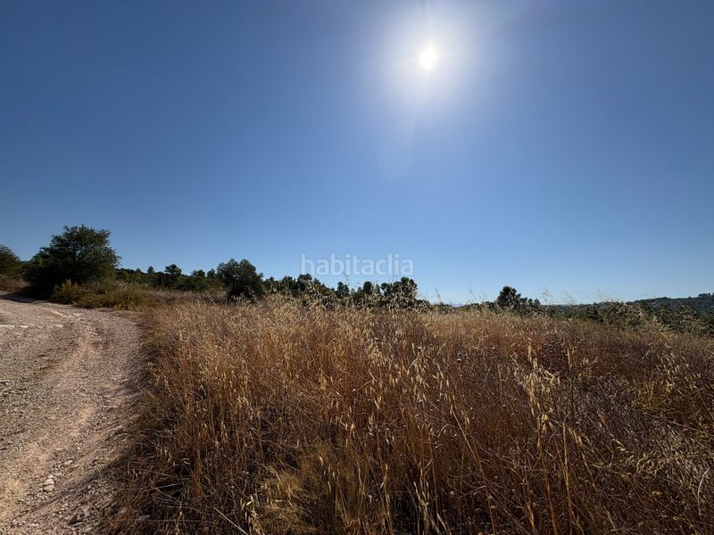 Foto d48f5cf6-2ac7-4061-8017-726fd3f0cf71. Finca rústica a Cervià de les Garrigues