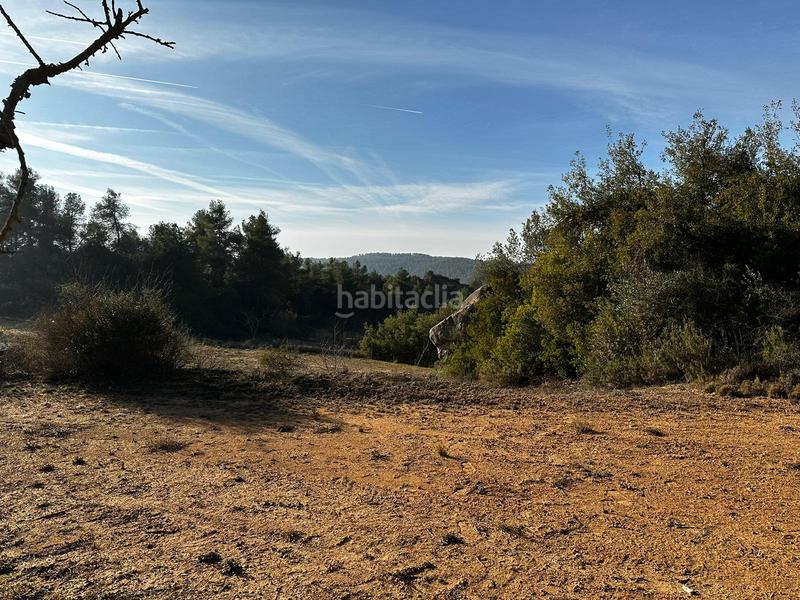 Foto 0b076c12-11bb-42bd-a45d-934274e100c1. Finca rústica terreno en venta en cervià en Cervià de les Garrigues