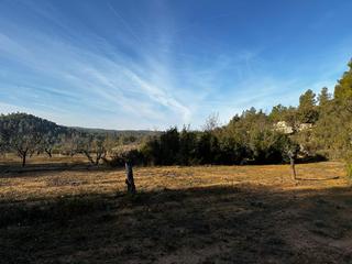 Finca rústica a Cervià de les Garrigues. Terreno en venta en cervià