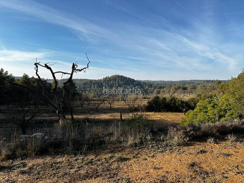 Foto 721bacb8-3591-4795-b3f1-a1100e6f448c. Finca rústica terreno en venta en cervià en Cervià de les Garrigues