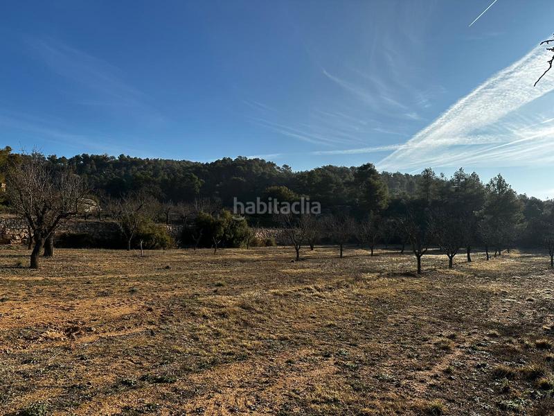Foto b25bfd84-382a-4297-90f1-3f60756800d2. Finca rústica terreno en venta en cervià en Cervià de les Garrigues